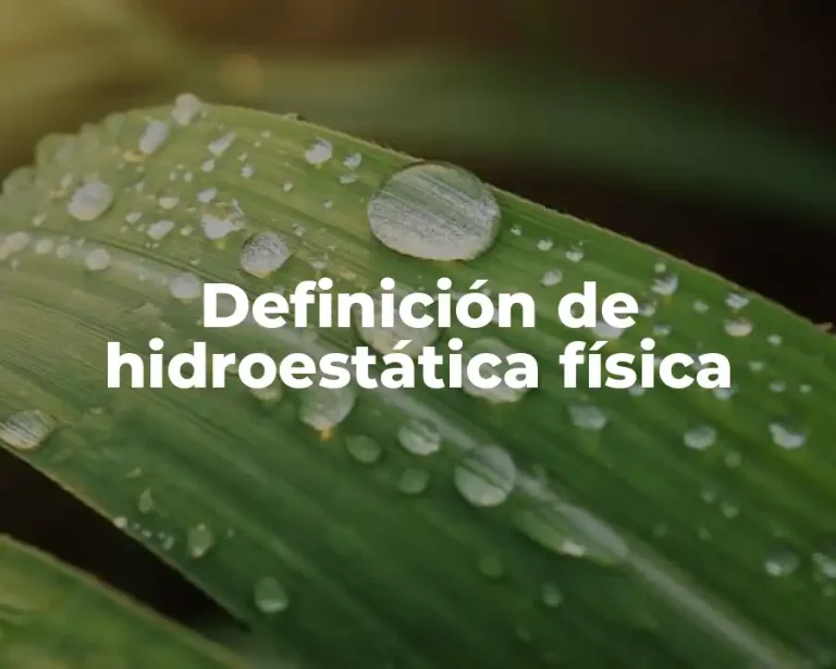 Definición de hidroestática física