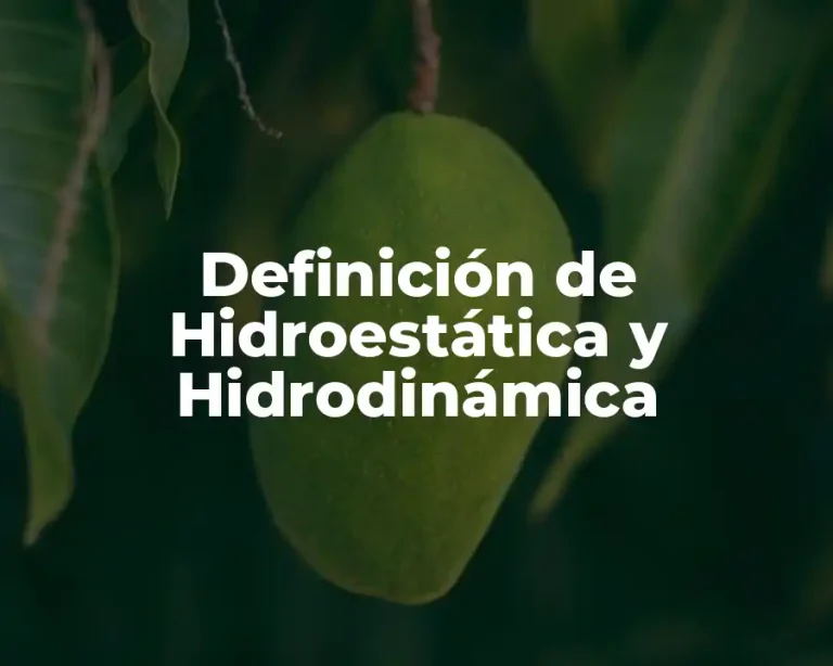 Definición de Hidroestática y Hidrodinámica