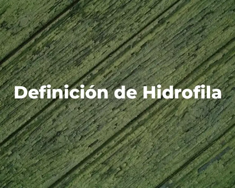 Definición de Hidrofila