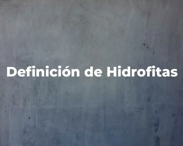 Definición de Hidrofitas