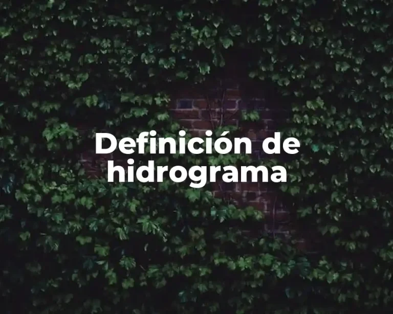 Definición de hidrograma