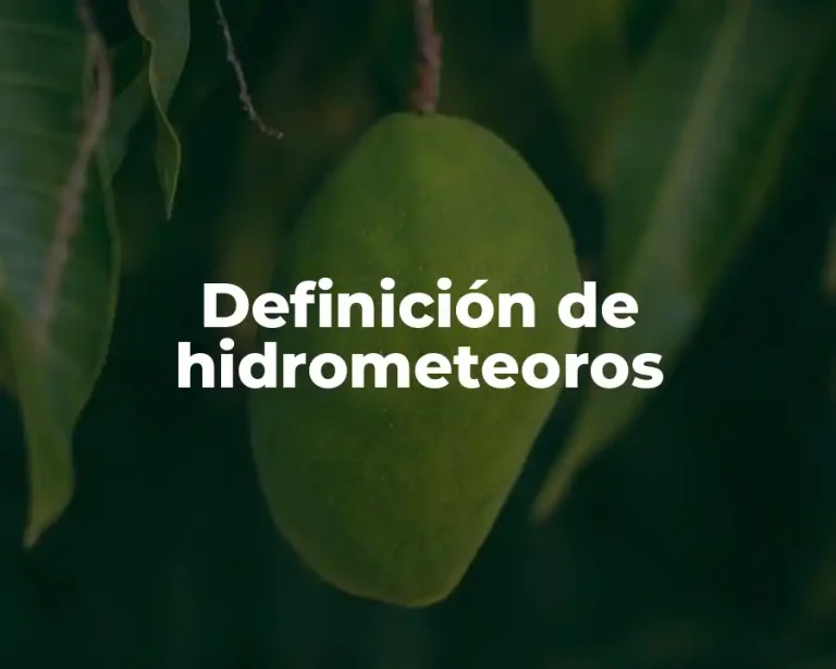 Definición de hidrometeoros