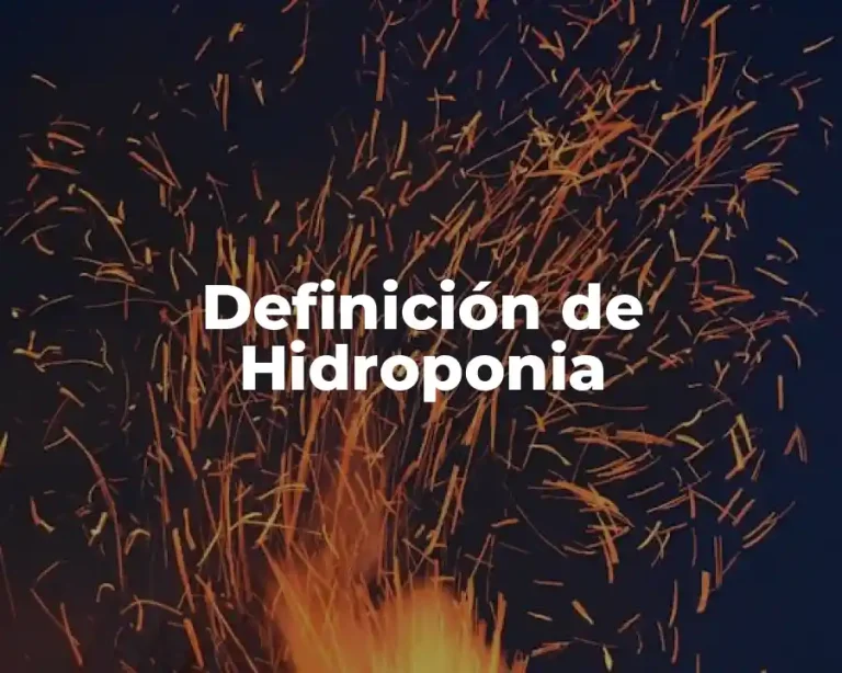 Definición de Hidroponia
