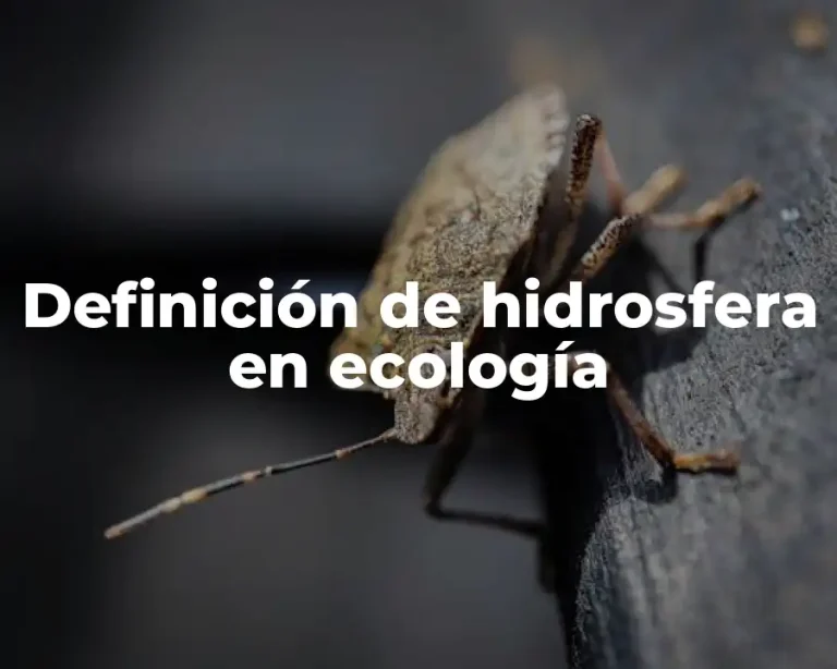 Definición de hidrosfera en ecología