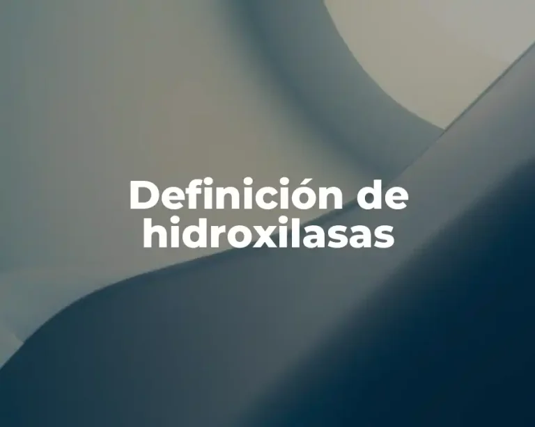 Definición de hidroxilasas