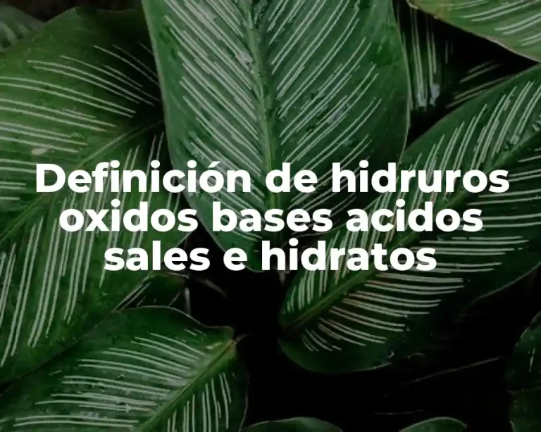 Definición de hidruros oxidos bases acidos sales e hidratos