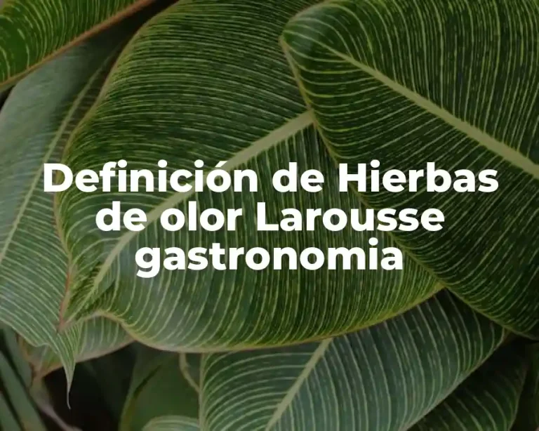 Definición de Hierbas de olor Larousse gastronomia