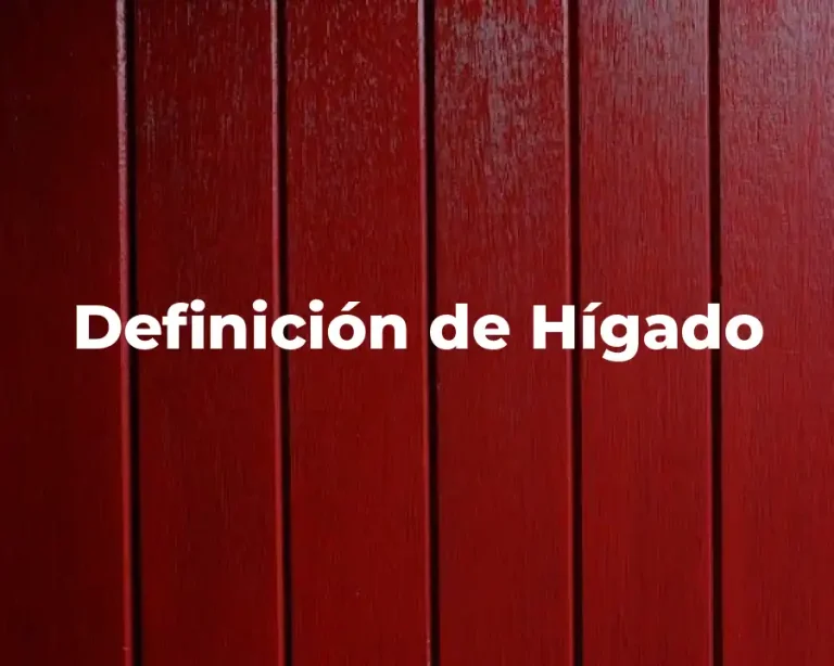 Definición de Hígado