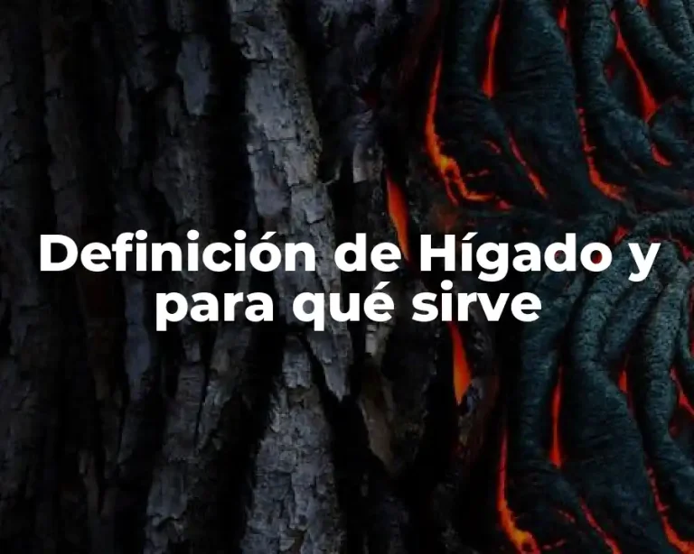 Definición de Hígado y para qué sirve