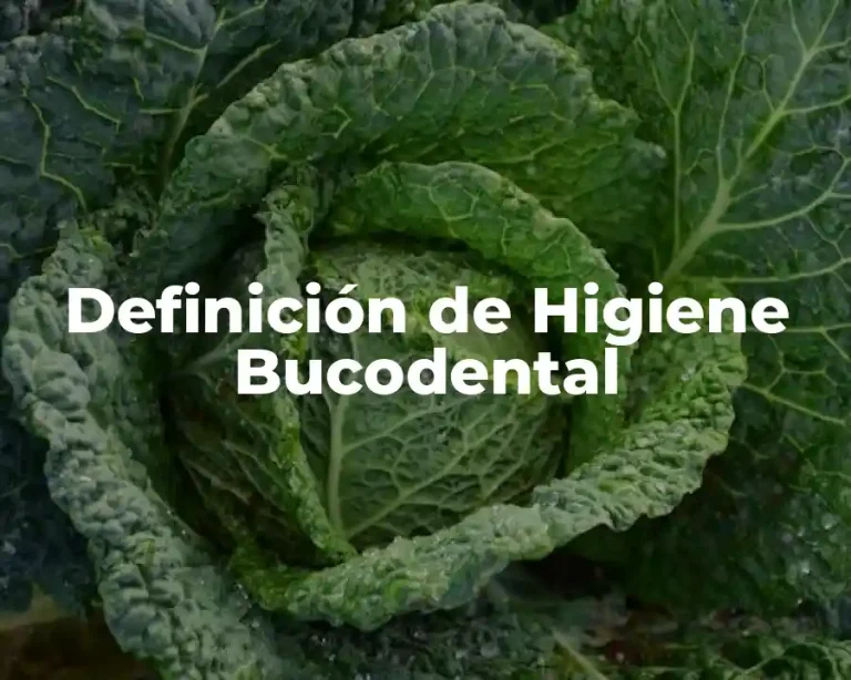 Definición de Higiene Bucodental