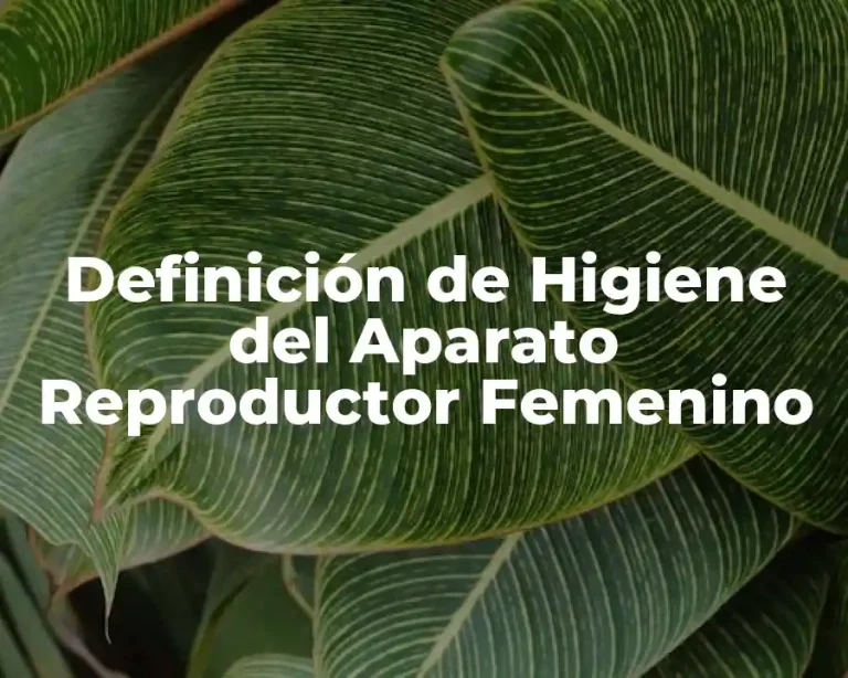 Definición de Higiene del Aparato Reproductor Femenino