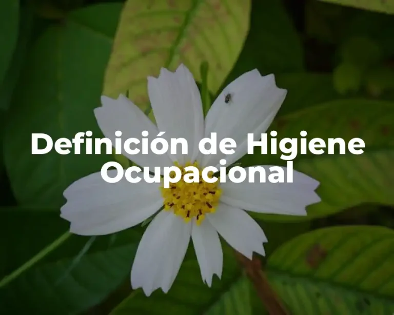 Definición de Higiene Ocupacional