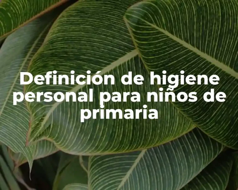 Definición de higiene personal para niños de primaria