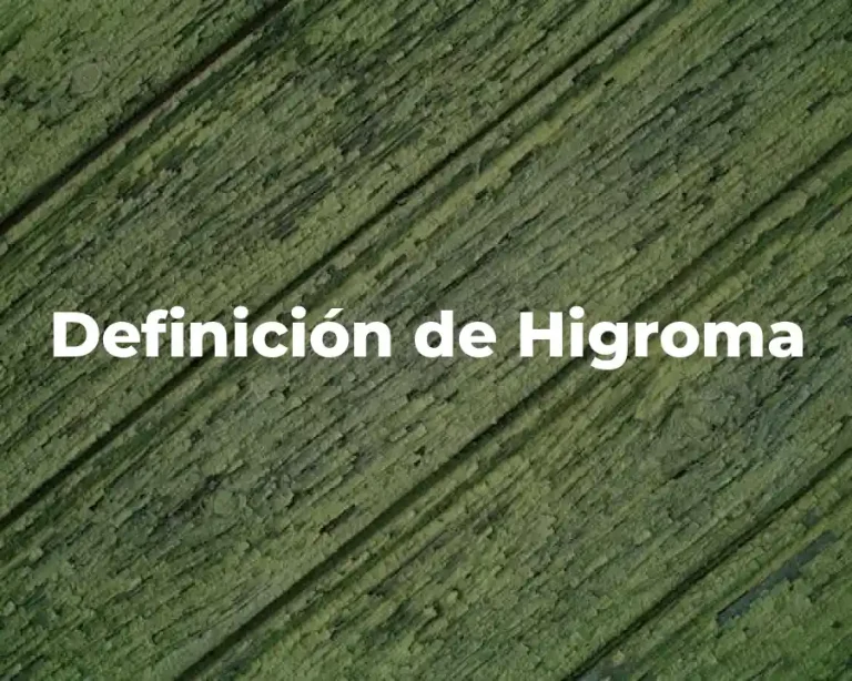 Definición de Higroma