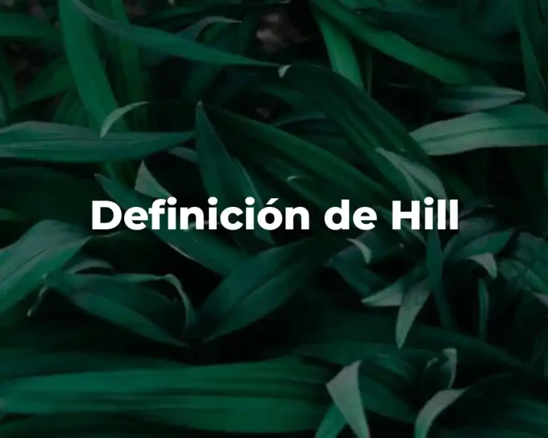Definición de Hill
