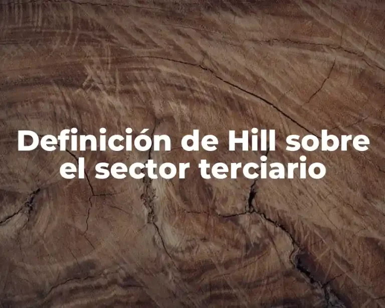 Definición de Hill sobre el sector terciario