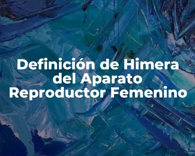 Definición de Himera del Aparato Reproductor Femenino