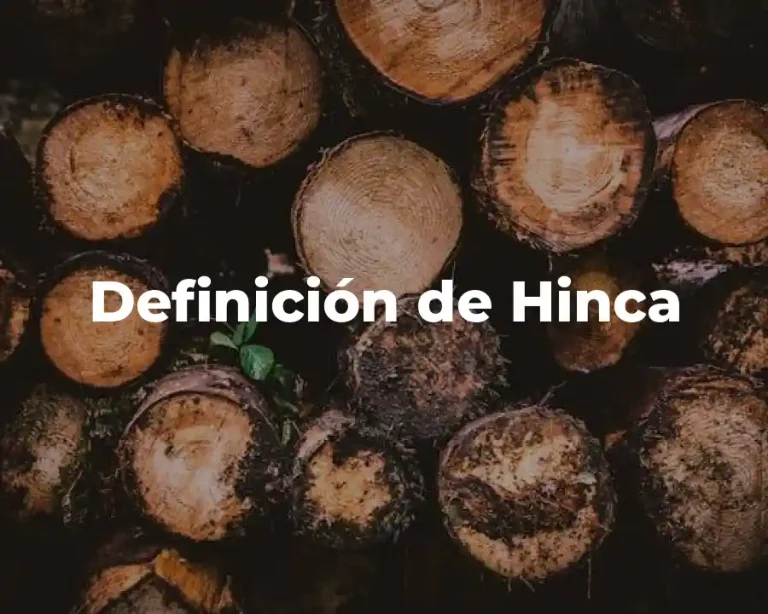 Definición de Hinca
