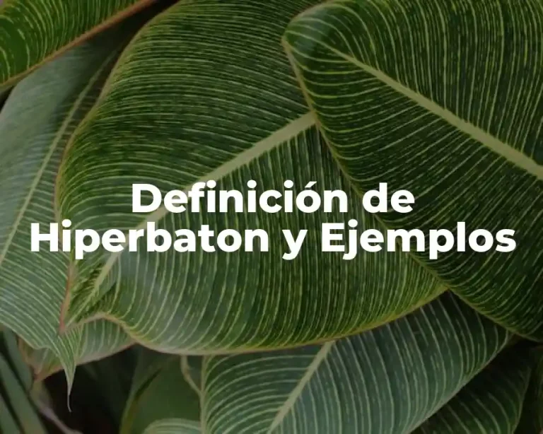 Definición de Hiperbaton y Ejemplos