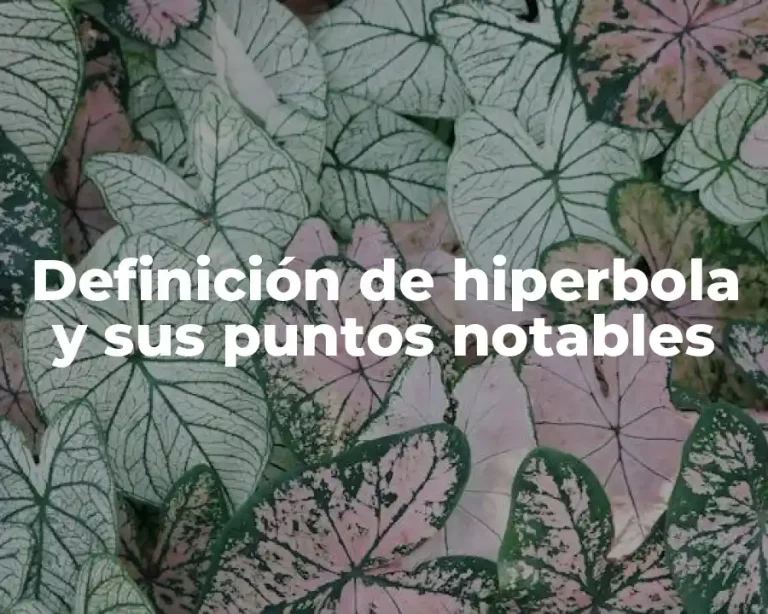 Definición de hiperbola y sus puntos notables