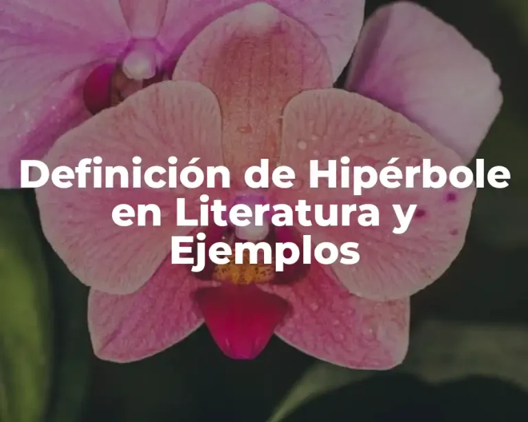 Definición de Hipérbole en Literatura y Ejemplos