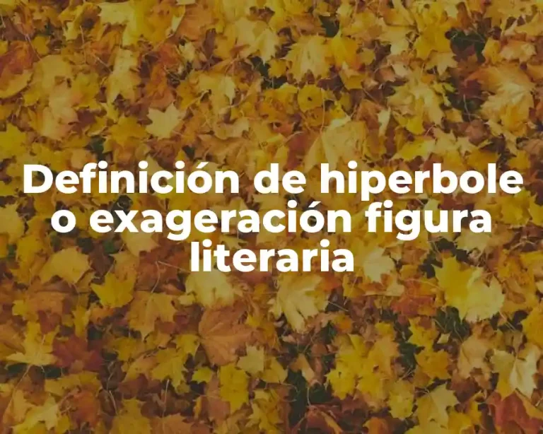 Definición de hiperbole o exageración figura literaria