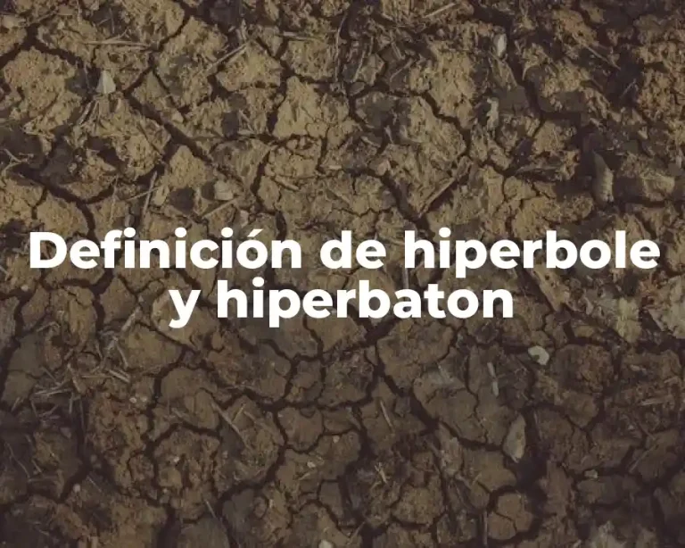 Definición de hiperbole y hiperbaton