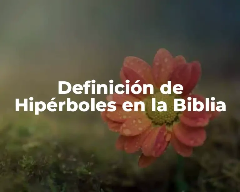 Definición de Hipérboles en la Biblia