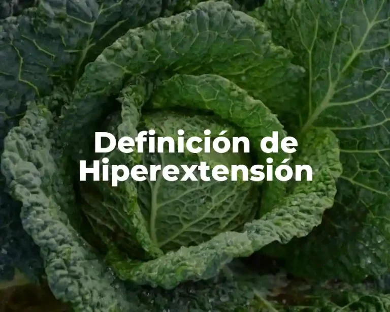 Definición de Hiperextensión