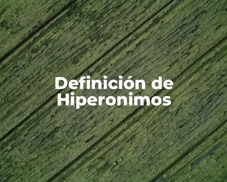 Definición de Hiperonimos