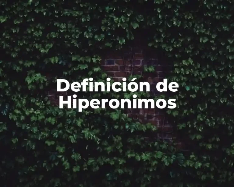 Definición de Hiperonimos