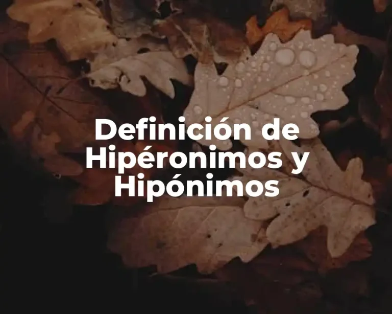 Definición de Hipéronimos y Hipónimos