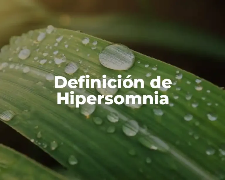 Definición de Hipersomnia