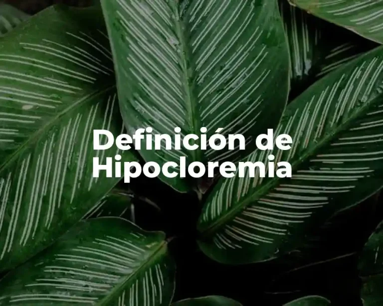 Definición de Hipocloremia