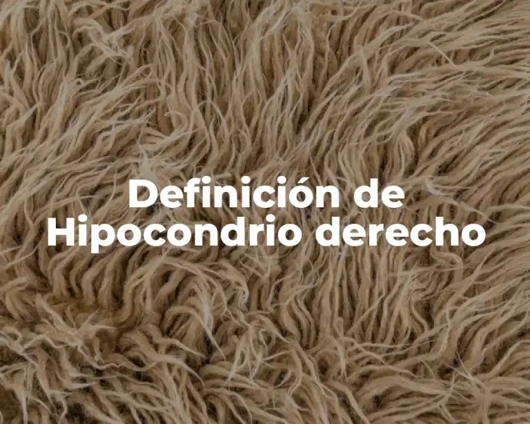 Definición de Hipocondrio derecho