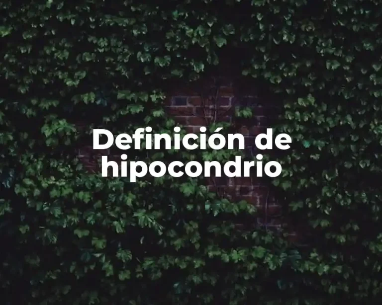 Definición de hipocondrio