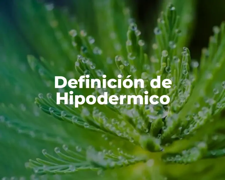 Definición de Hipodermico