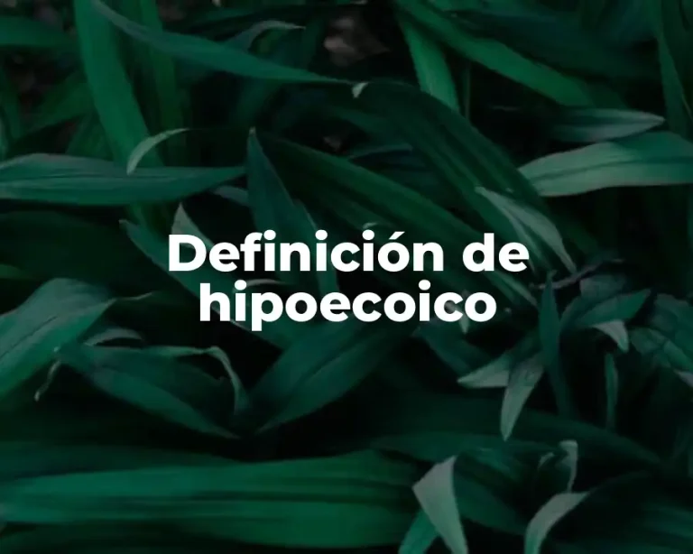Definición de hipoecoico