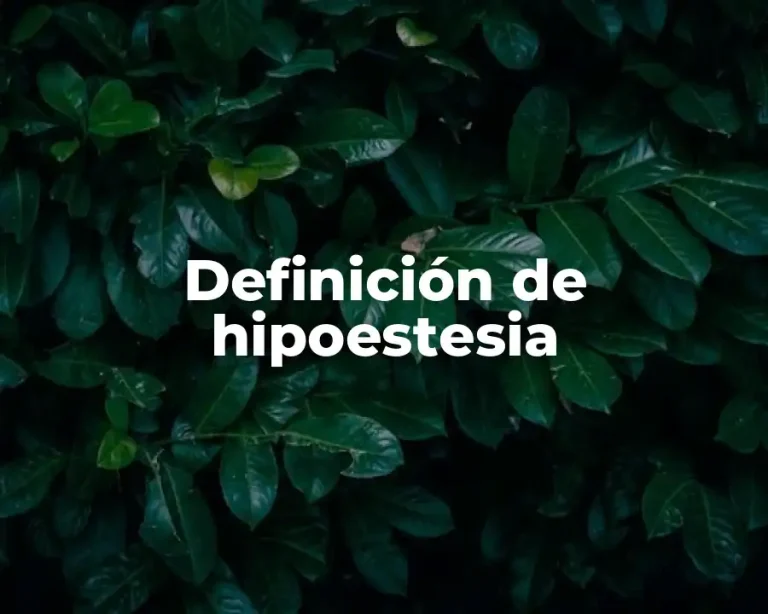 Definición de hipoestesia