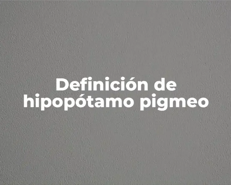Definición de hipopótamo pigmeo