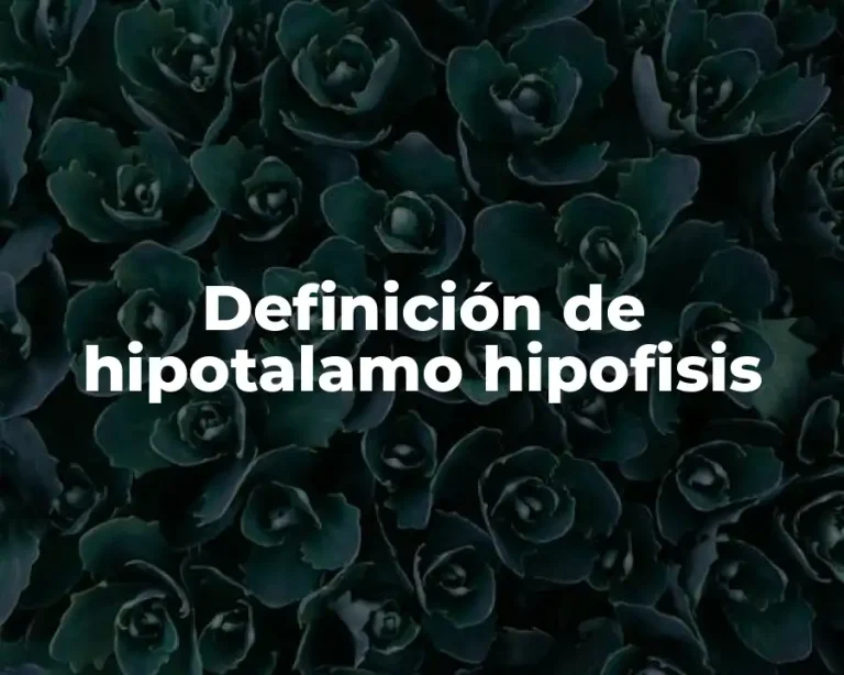 Definición de hipotalamo hipofisis
