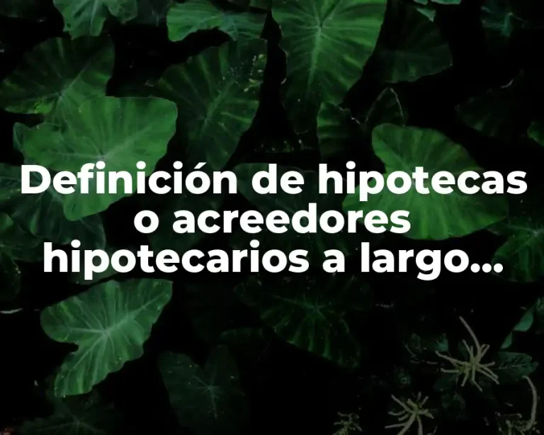Definición de hipotecas o acreedores hipotecarios a largo plazo