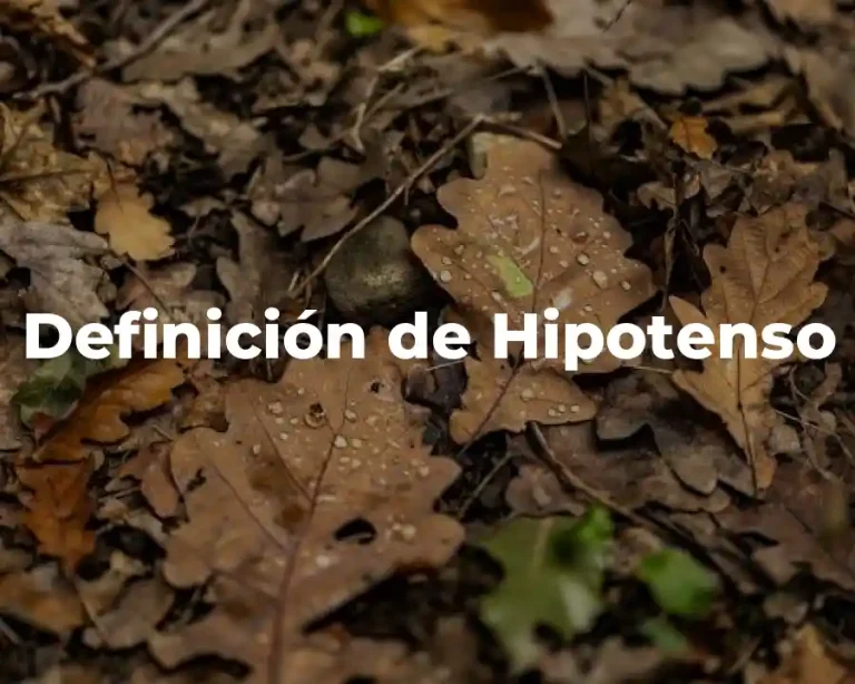Definición de Hipotenso