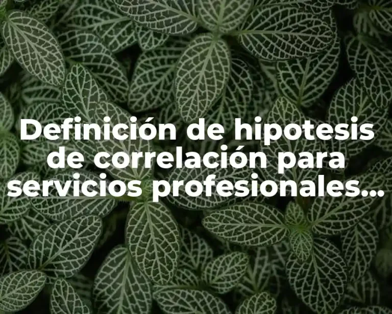 Definición de hipotesis de correlación para servicios profesionales ti