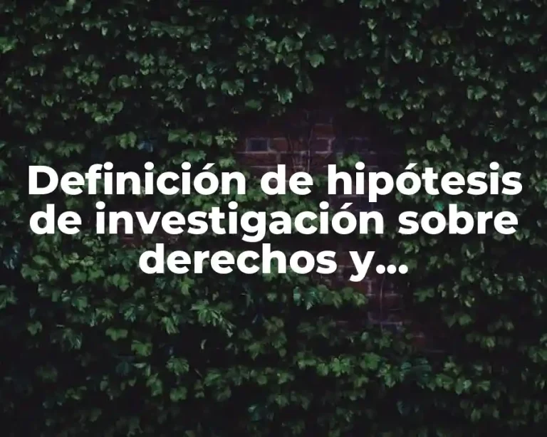 Definición de hipótesis de investigación sobre derechos y obligaciones