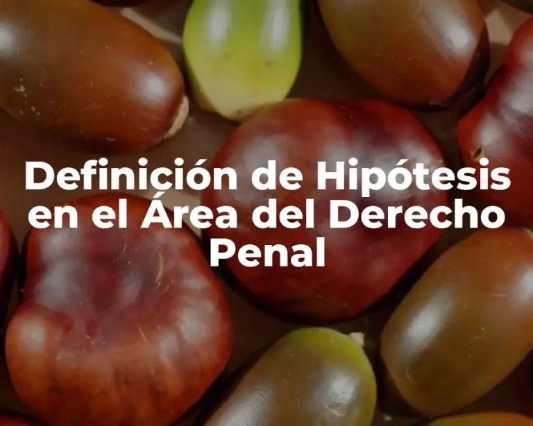 Definición de Hipótesis en el Área del Derecho Penal