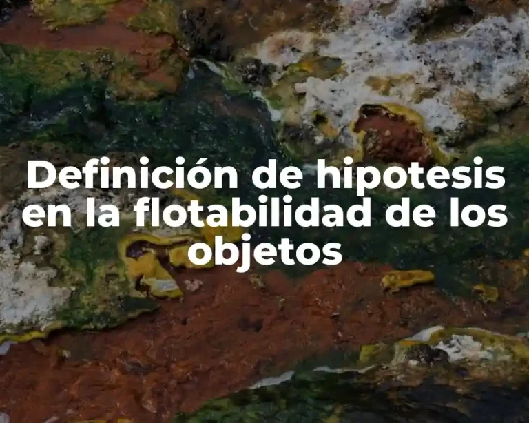 Definición de hipotesis en la flotabilidad de los objetos