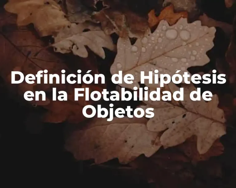 Definición de Hipótesis en la Flotabilidad de Objetos