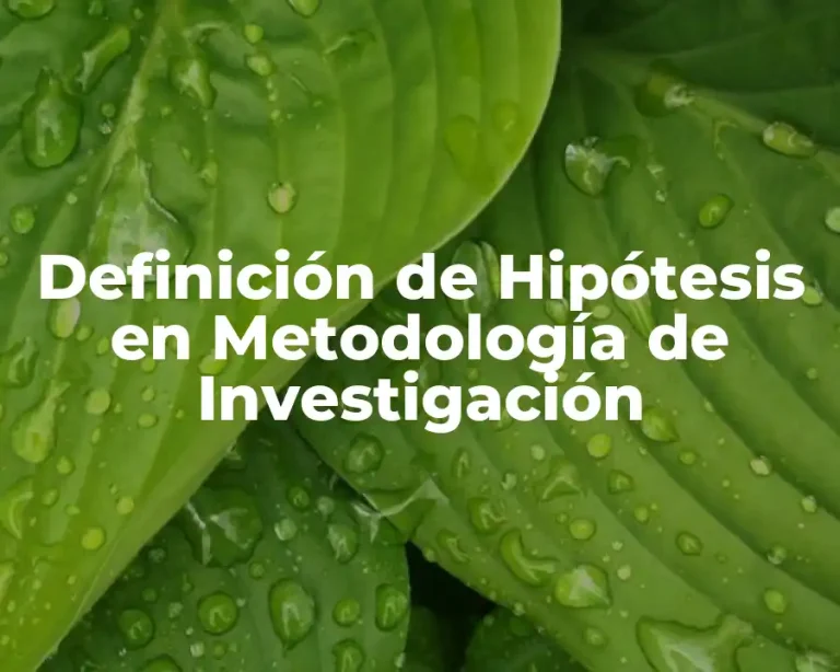 Definición de Hipótesis en Metodología de Investigación