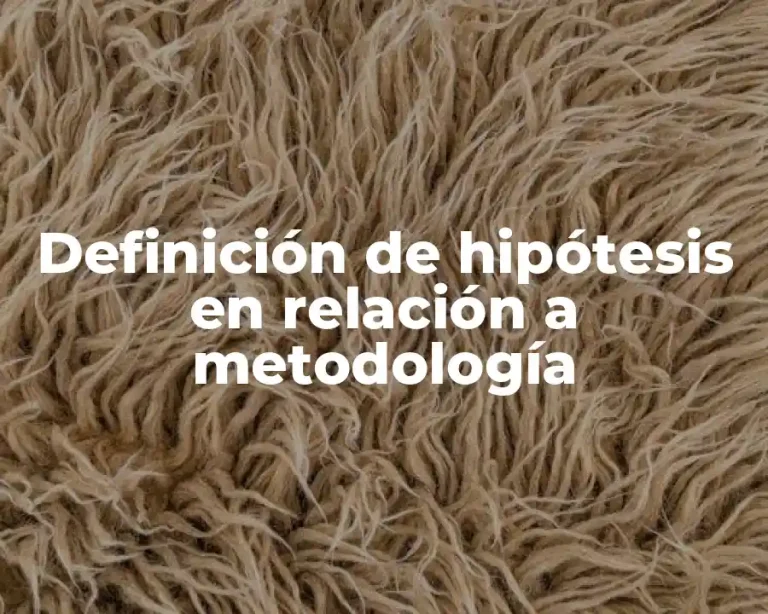 Definición de hipótesis en relación a metodología